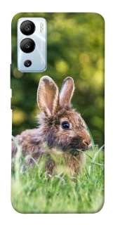 Чехол на Infinix Hot 12i Кролики фото 1 из 1