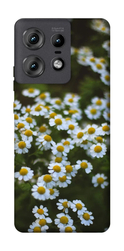 Чехол на Motorola Edge 50 Pro Ромашки v13 фото 1 из 1
