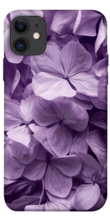 Чехол на Apple iPhone 11 (6.1") Floral Symphony фото 1 из 1