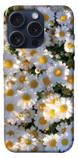 Чохол на Apple iPhone 15 Pro (6.1") Поле ромашок фото 1 з 1