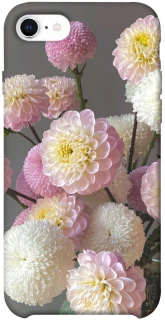 Чохол на Apple iPhone SE (2020) Flowers v2 фото 1 з 1