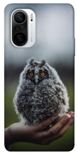 Чохол на Xiaomi Redmi K40 / K40 Pro / K40 Pro+ / Poco F3 Совеня фото 1 з 1