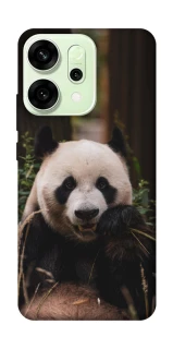 Чехол на Oppo Reno 14 Панда фото 1 из 1