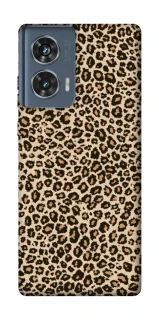 Чохол на Motorola Edge 50 Leopard Skin v2 фото 1 з 1