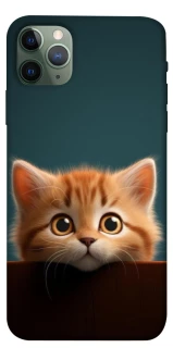 Чехол на Apple iPhone 11 Pro Max (6.5") Чехол Котёнок фото 1 из 1