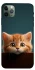 Чехол на Apple iPhone 11 Pro Max (6.5") Чехол Котёнок фото 1 из 1