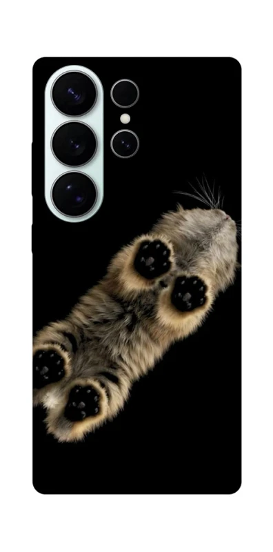 Чохол на Samsung Galaxy S26 Pro Cat фото 1 з 1