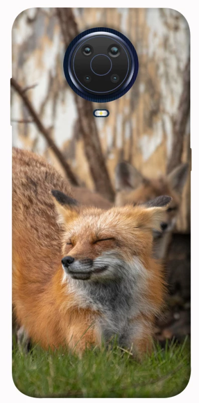 Чохол на Nokia G20 / G10 / 6.3 Лисиця фото 1 з 1