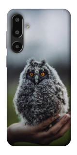 Чехол на Samsung Galaxy F16 Совёнок фото 1 из 1