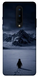 Чехол на OnePlus 8 But why? фото 1 из 1