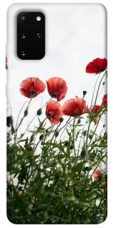 Чохол на Samsung Galaxy S20+ Поле маків фото 1 з 1