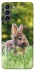 Чехол на Samsung Galaxy S21 Кролики фото 1 из 1