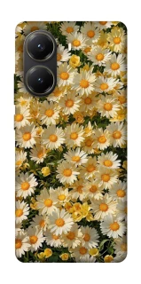 Чохол на Xiaomi Poco X6 Pro Camomile фото 1 з 1