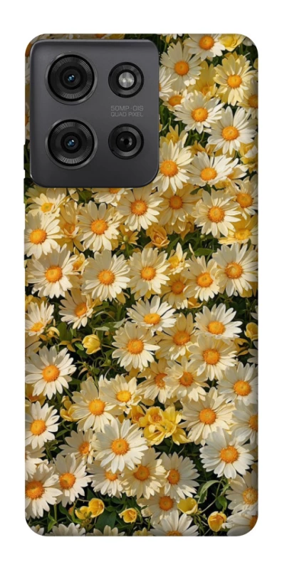 Чохол на Motorola Moto G75 Camomile фото 1 з 1