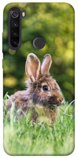 Чехол на Xiaomi Redmi Note 8T Кролики фото 1 из 1