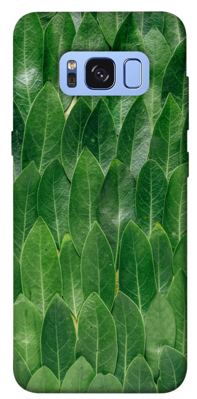 Чохол на Samsung G950 Galaxy S8 Листя фото 1 з 1