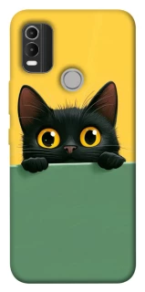 Чохол на Nokia C21 Plus Black cat v2 фото 1 з 1