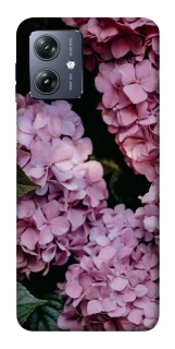 Чохол на Motorola Moto G54 Рожеві гартензії фото 1 Чохол на Motorola Moto G54 Рожеві гартензії фото 1 з 1