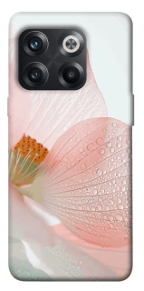 Чехол на OnePlus 10T Flowers zon фото 1 из 1