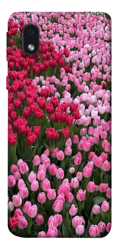 Чехол на Samsung Galaxy M01 Core / A01 Core Flowers v9 фото 1 из 1