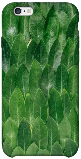 Чохол на Apple iPhone 6/6s (4.7") Листя фото 1 з 1