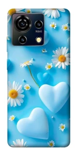 Чохол на ZTE Blade V50 Vita Flowers v20 фото 1 з 1