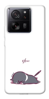 Чохол на Xiaomi 13T The battery is dead фото 1 з 1