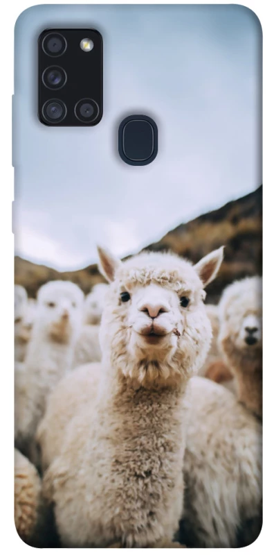 Чохол на Samsung Galaxy A21s Лама фото 1 з 1