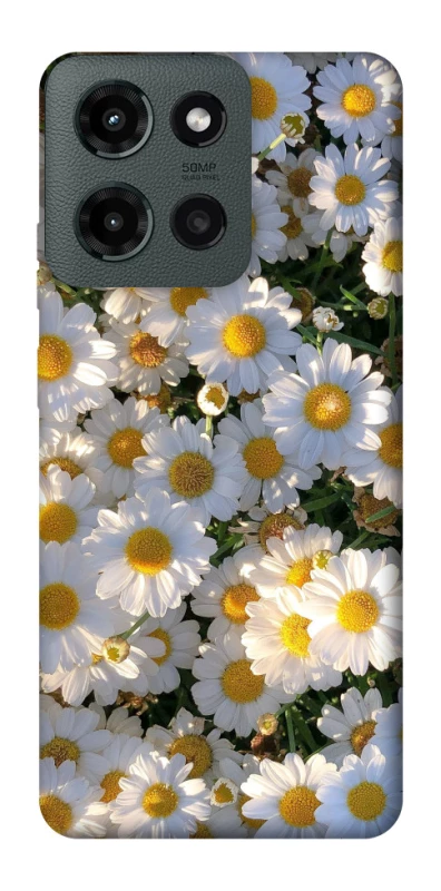 Чохол на Motorola Moto G Power (2025) Поле ромашок фото 1 з 1