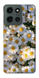 Чохол на Motorola Moto G Power (2025) Поле ромашок фото 1 з 1