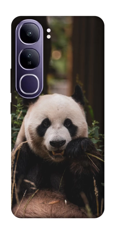Чехол на Vivo Y300 Панда фото 1 из 1