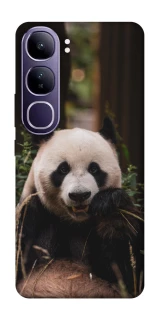 Чехол на Vivo Y300 Панда фото 1 из 1