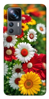 Чохол на Xiaomi 12T / 12T Pro Flowers v11 фото 1 з 1