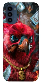 Чехол на Motorola Moto G41 Попугай фото 1 из 1