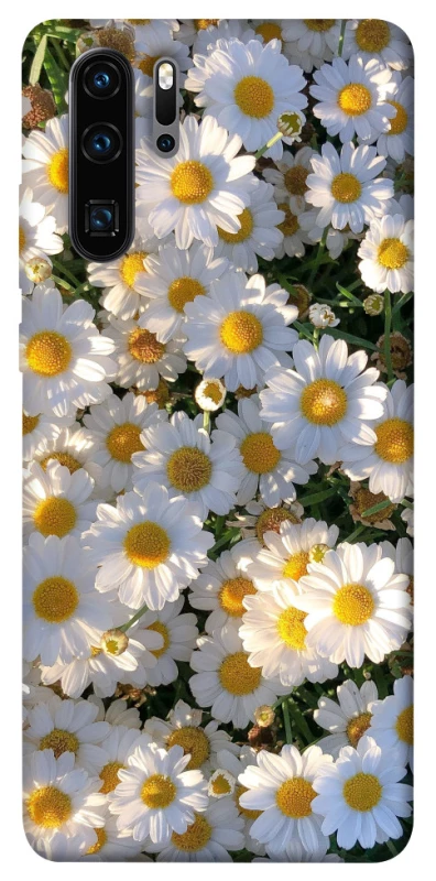 Чохол на Huawei P30 Pro Поле ромашок фото 1 з 1
