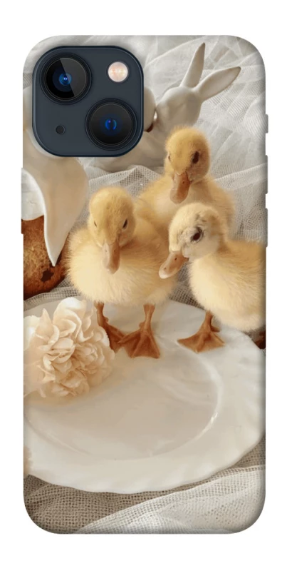 Чохол на Apple iPhone 13 mini (5.4") Easter Vibes фото 1 з 1