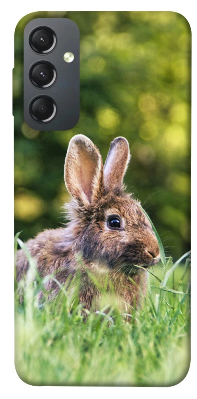 Чехол на Samsung Galaxy A24 4G Кролики фото 1 из 1
