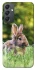 Чехол на Samsung Galaxy A24 4G Кролики фото 1 из 1