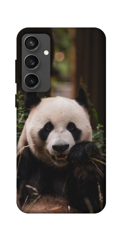 Чехол на Samsung Galaxy S24 FE Панда фото 1 из 1