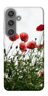 Чохол на Samsung Galaxy S24+ Поле маків фото 1 з 1