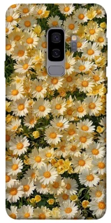 Чехол на Samsung Galaxy S9+ Camomile фото 1 из 1