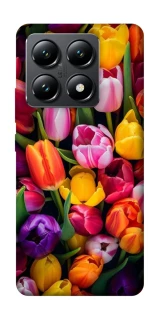 Чехол на Xiaomi 14T Flowers v30 фото 1 из 1