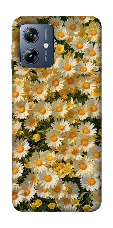 Чохол на Motorola Moto G54 Power Camomile фото 1 з 1