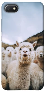 Чехол на Xiaomi Redmi 6A Лама фото 1 из 1