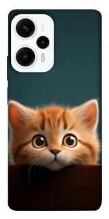 Чохол на Xiaomi Poco F5 / Note 12 Turbo Чохол Кошеня фото 1 з 1