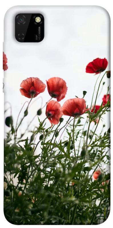 Чехол на Huawei Y5p Поле маков фото 1 из 1