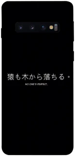 Чохол на Samsung Galaxy S10 Japanese Perfect фото 1 з 1