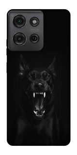 Чохол на Motorola Moto G75 Доберман фото 1 з 1