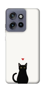 Чохол на Motorola Edge 50 Neo cat in love фото 1 Чохол на Motorola Edge 50 Neo cat in love фото 1 з 1