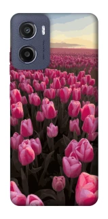 Чехол на Motorola Moto G05 Spring Awakening фото 1 из 1